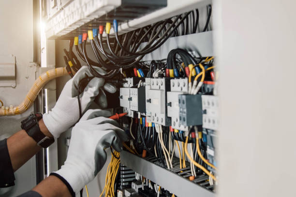 Best Electric Panel Repair  in Belle, MO